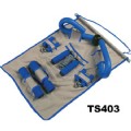 Training Set(TS403)